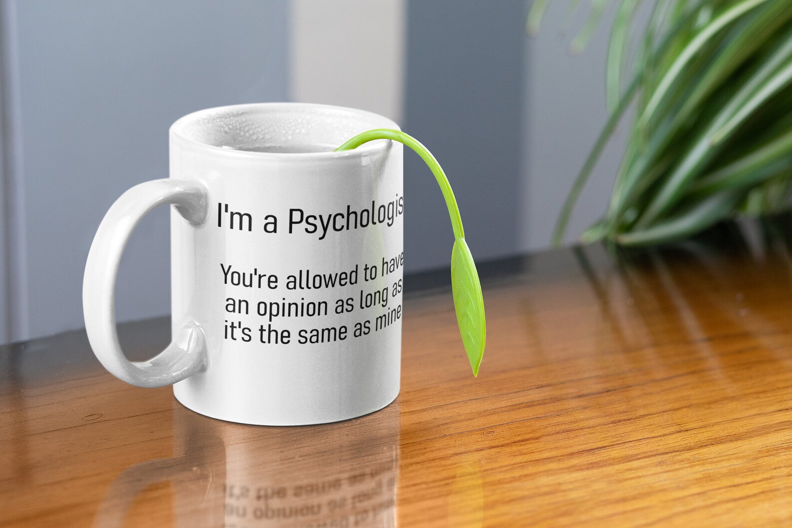 Psychologist Gift Mug, Funny Psychology Thank You Christmas Present