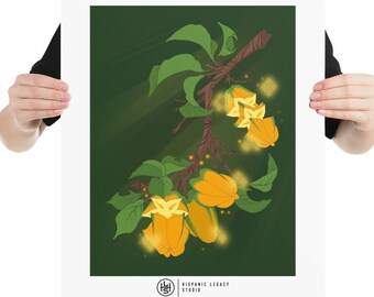 Carambolas Puerto Rico Wall Art Home Decor
