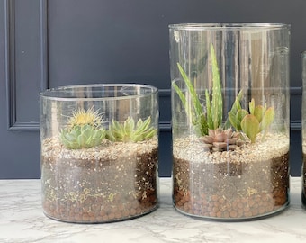 Cylindrical Glass Terrarium Tank: DIY Succulent Kit (Optional)