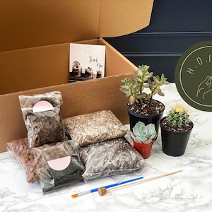 DIY Terrarium Kit | Plants & Container Optional