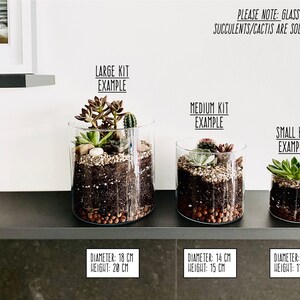 May include: Three glass containers of different sizes with succulent plants and soil inside. The containers are labeled "Large Kit Example", "Medium Kit Example", and "Small Kit Example". The containers are 18 cm in diameter and 20 cm in height, 14 cm in diameter and 15 cm in height, and 10 cm in diameter and 11 cm in height, respectively.  Please note: Glass container & succulents/cacti are sold separately.
