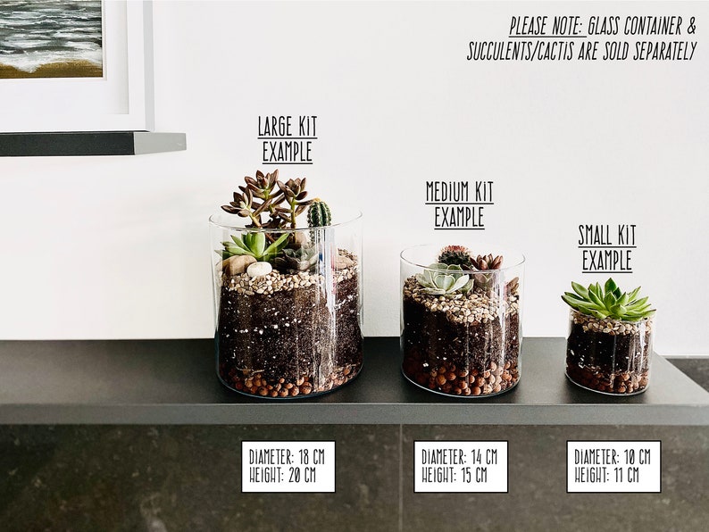 May include: Three glass containers of different sizes with succulent plants and soil inside. The containers are labeled "Large Kit Example", "Medium Kit Example", and "Small Kit Example". The containers are 18 cm in diameter and 20 cm in height, 14 cm in diameter and 15 cm in height, and 10 cm in diameter and 11 cm in height, respectively.  Please note: Glass container & succulents/cacti are sold separately.
