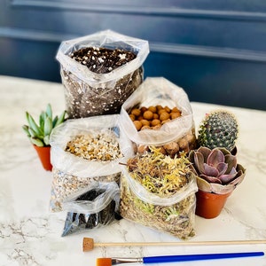 May include: A set of succulent planting supplies, including soil, gravel, moss, and small terracotta pots. The set also includes a small paintbrush and a wooden stick.