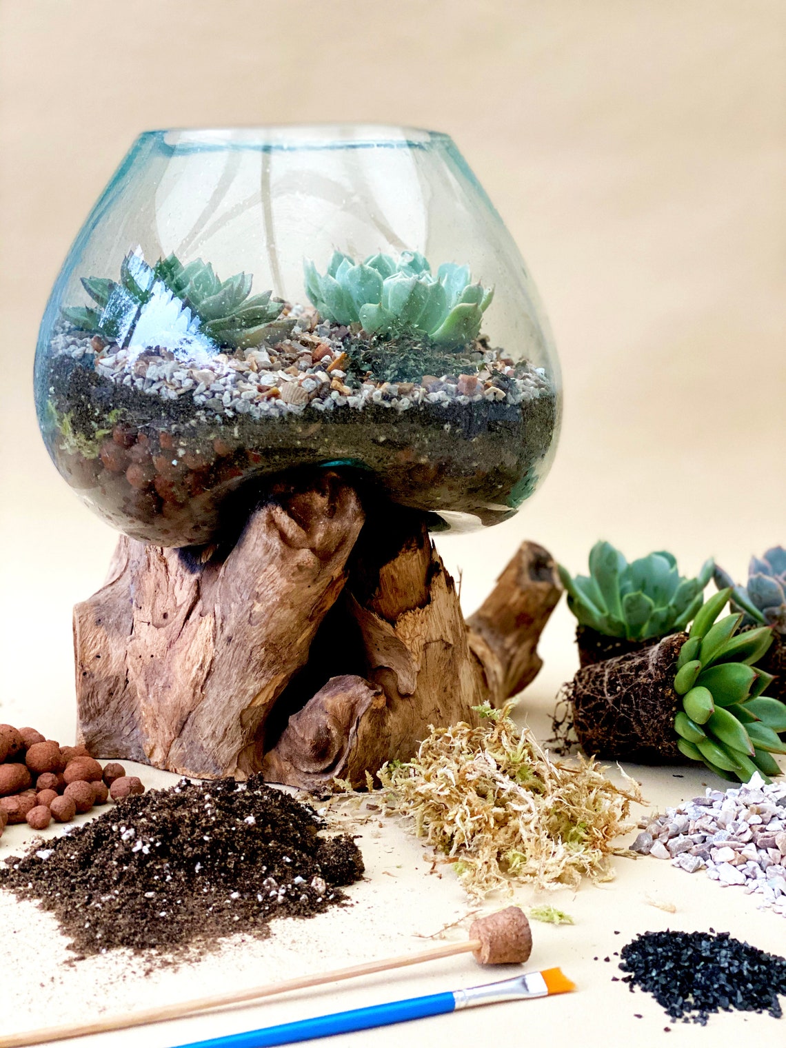 Large Molten Glass/Driftwood Terrarium Kit & | Etsy