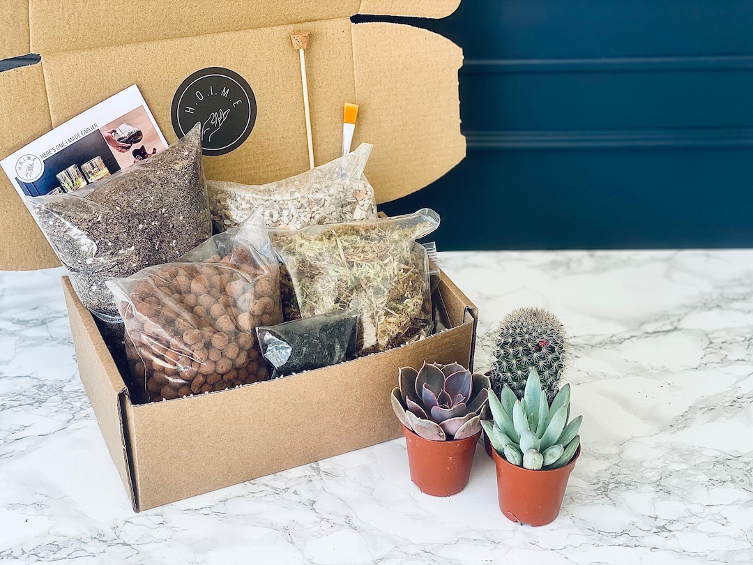 Terrarium Kit Gift for Plant Lover DIY Kit for Terrarium Craft Kit Gift