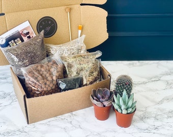 DIY Succulent Terrarium Kit: Modern Table Centerpiece