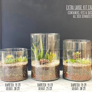May include: Three clear glass cylinders of varying heights, each filled with a different arrangement of succulents and soil. The cylinders are labeled with their diameter and height in centimeters.  EXTRA LARGE KIT EXAMPLES (CONTAINERS, KITS & SUCCULENTS ALL SOLD SEPARATELY)