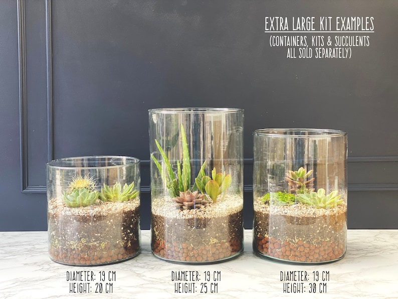 May include: Three clear glass cylinders of varying heights, each filled with a different arrangement of succulents and soil. The cylinders are labeled with their diameter and height in centimeters.  EXTRA LARGE KIT EXAMPLES (CONTAINERS, KITS & SUCCULENTS ALL SOLD SEPARATELY)