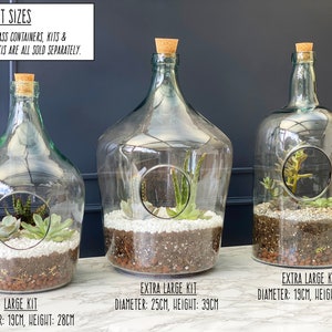 May include: Three glass terrarium kits in different sizes. The kits are filled with soil, rocks, and succulents. The text on the image reads: "EXAMPLE KIT SIZES PLEASE NOTE: GLASS CONTAINERS, KITS & SUCCULENTS/CACTIS ARE ALL SOLD SEPARATELY. LARGE KIT DIAMETER: 19CM, HEIGHT: 28CM EXTRA LARGE KIT DIAMETER: 25CM, HEIGHT: 39CM EXTRA LARGE KIT DIAMETER: 19CM, HEIGHT: 40CM"