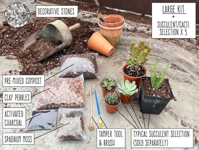 May include: A large succulent and cacti planting kit with all the materials needed to create a beautiful succulent garden. The kit includes pre-mixed compost, clay pebbles, activated charcoal, sphagnum moss, decorative stones, a tamper tool and brush, and five succulent plants.