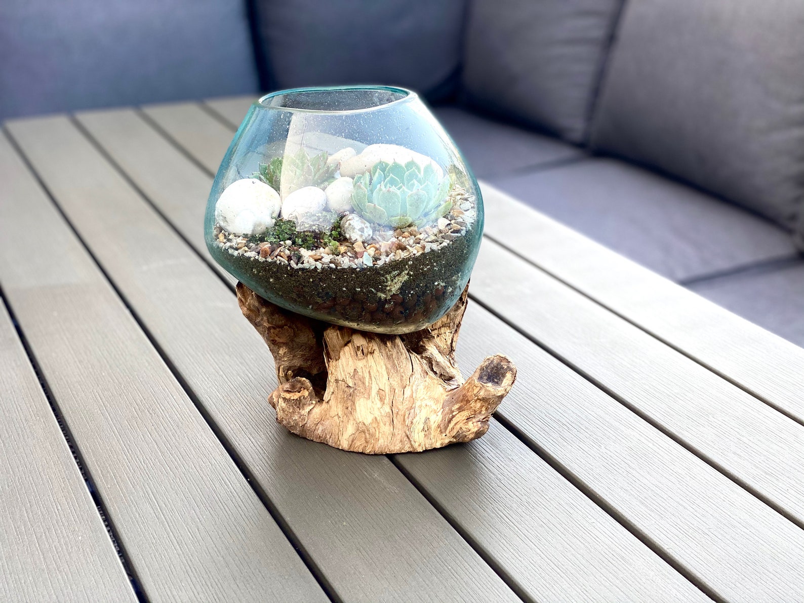 Large Molten Glass/Driftwood Terrarium Kit & Etsy