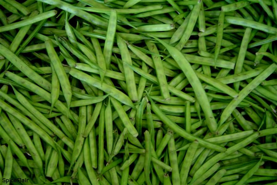Indian Cluster Bean - Gawar/Guar/Guvar/Guwar high germination rate, USA grown
