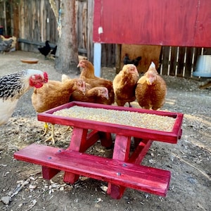 Chicknic Table - Chicken Picnic Table