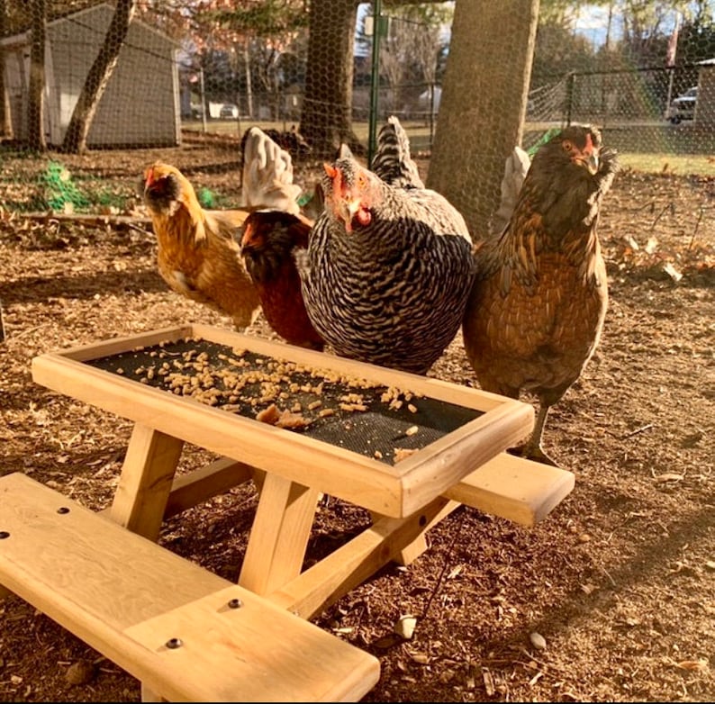 Chicknic Table Chicken Picnic Table Etsy