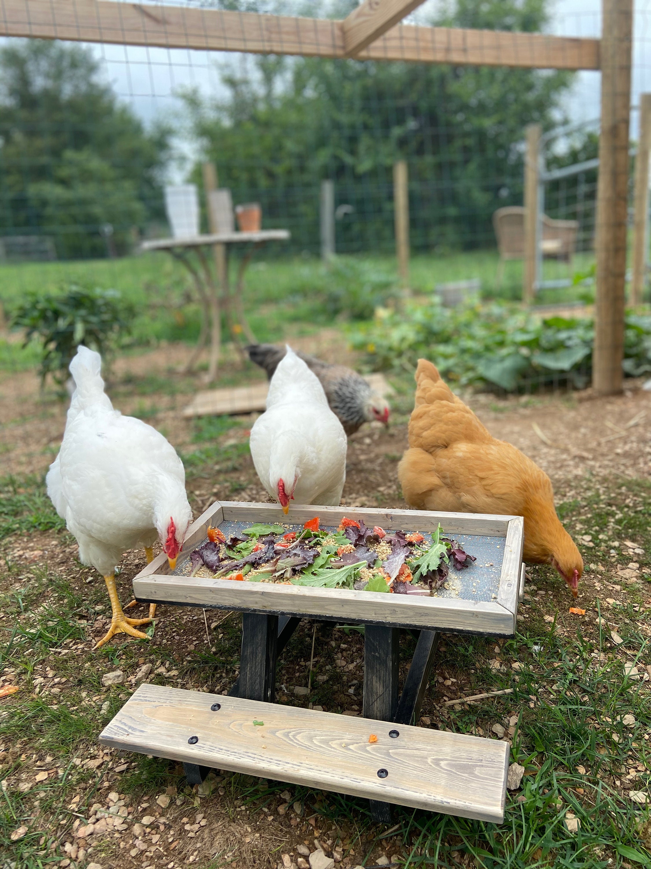 Chicknic Table Chicken Picnic Table Etsy