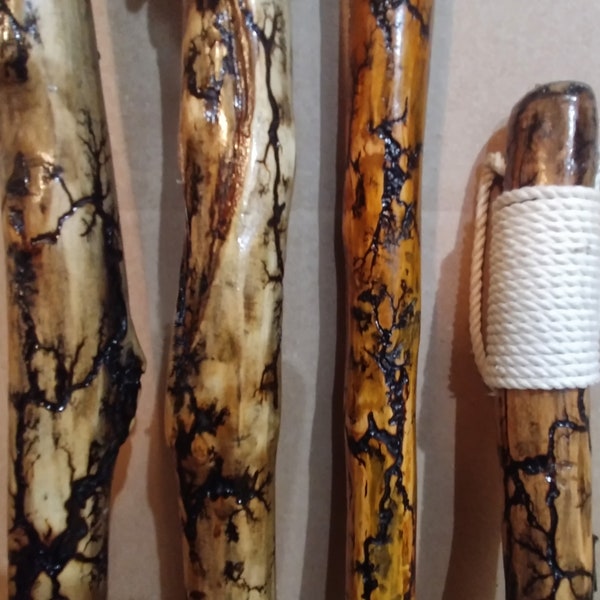 Aspen Fractal Burned Walking Sticks