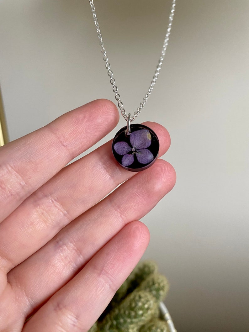 Real purple hydrangea flower with black background