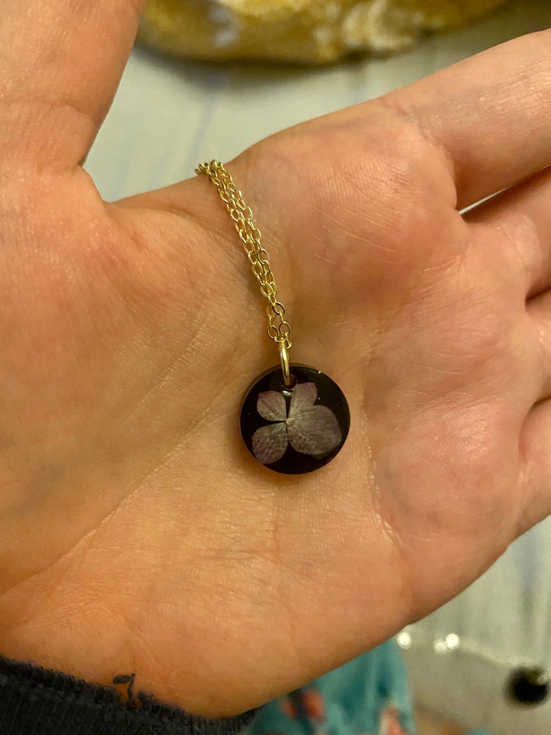 Real purple hydrangea flower with black background