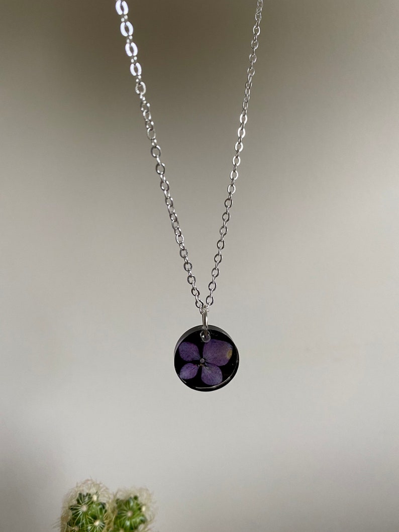 Real purple hydrangea flower with black background