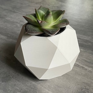 Succulent Planter | Geometric: Icosidodecahedron | Matte Finish | 3D Printed