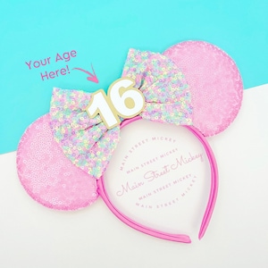 Minnie Mouse Ears, Birthday Ears For Adults and Kids, Minnie Mouse Party Ears, Any Age Minnie Ears, Disneyland Ear, Mickey Birthday Ear