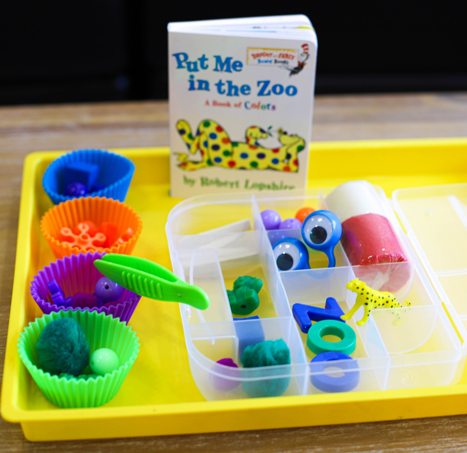 Put Me in the Zoo sensory bin kit. playdough kit sensory Etsy