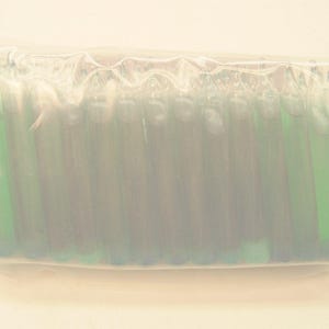 May include: A clear plastic bag containing multiple green and dark-colored glass bottles. The bottles are cylindrical and appear to be filled with liquid. The bag is sealed, and the bottles are arranged closely together.