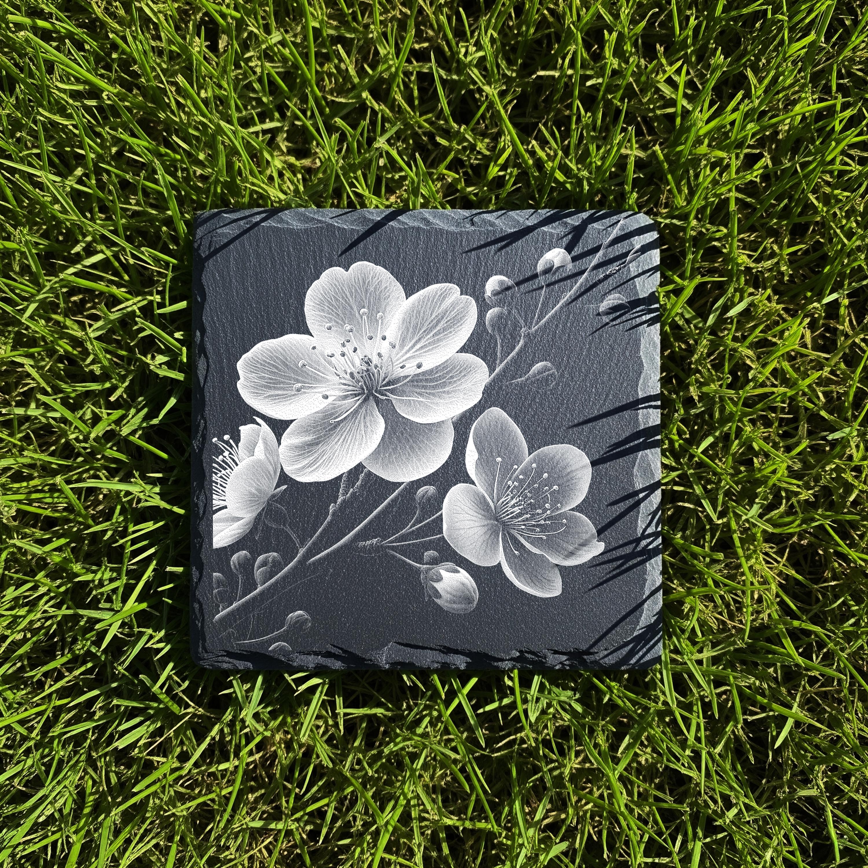 Sakura Flow – Japanese Cherry Blossom Branch PNG | Bundle of 4