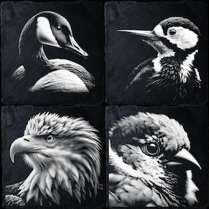 4 Slate Bundle Bird, Laser Ready PNG Files for Engraving, Slate Board Coaster Tray Art, CNC, CO2, Lightburn, Glowforge, Xtool