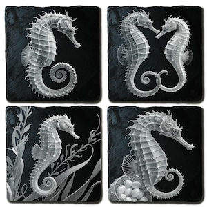 May include: Set of four square coasters featuring detailed grayscale illustrations of seahorses. Each coaster showcases a different seahorse design against a black background, with some including aquatic plants or eggs.