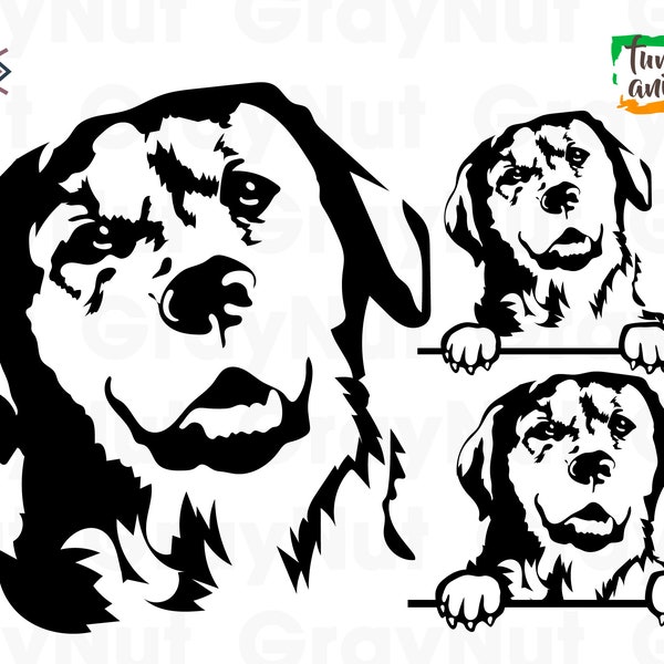 Golden Retriever Labrador Pet Dog Canine Cute Beautiful Pedigree Purebred Portrait Art Design Logo Svg Png Vector Clipart Cut Cutting File