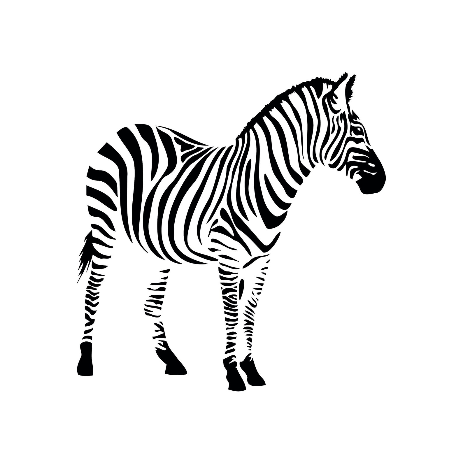 Zebra Svg Animal Svg Files for Cricut Nature Dxf Cut File Etsy