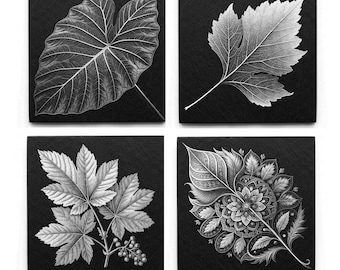 May include: A set of four square black slate coasters, each featuring a distinct white botanical illustration. The designs include a large heart-shaped leaf, a jagged-edged leaf, a cluster of leaves with small berries, and a decorative mandala-style leaf.