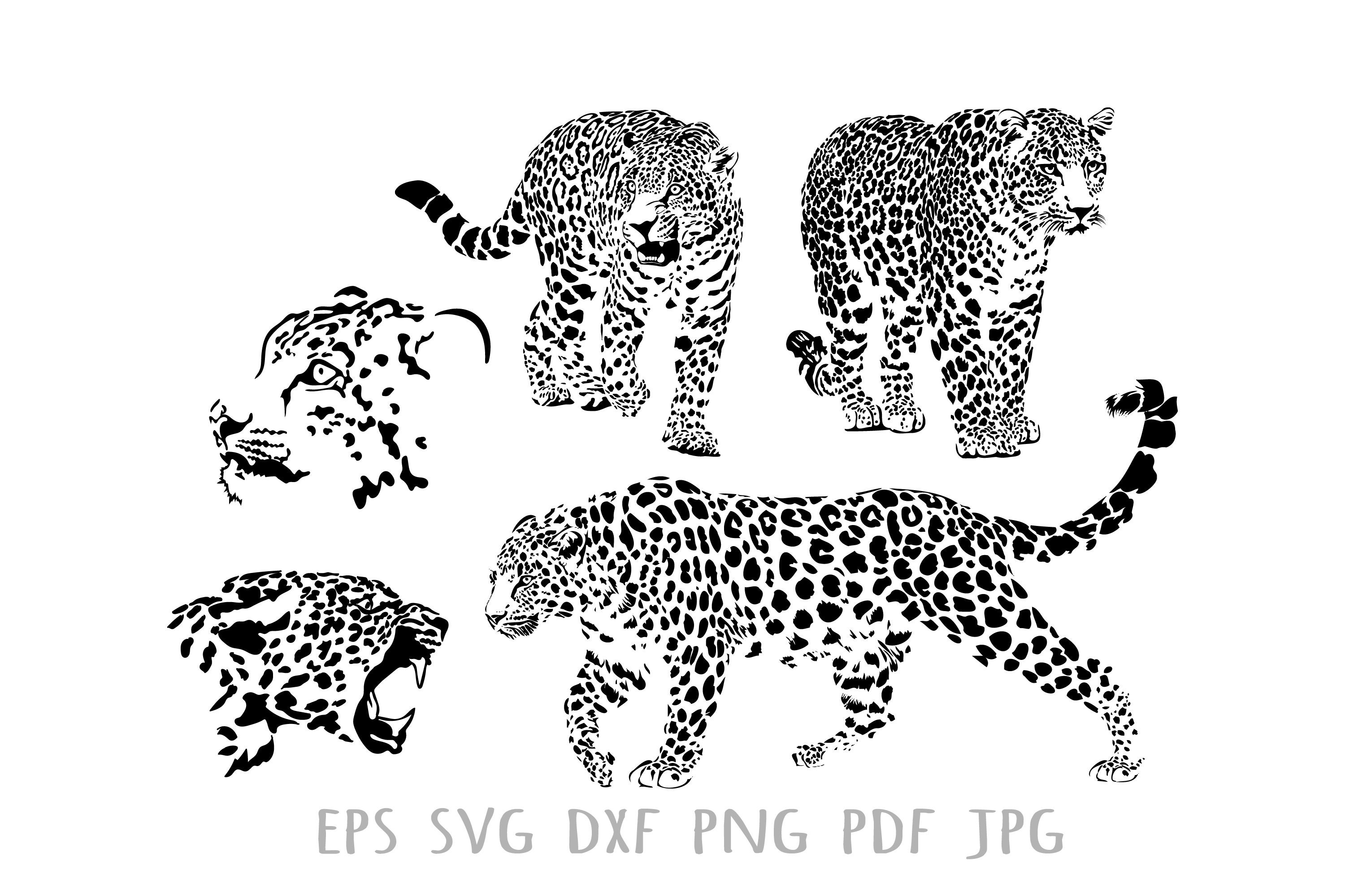 Leopard is Hunting Vector Bundle PNG Graphic by Design SVG · Creative  Fabrica