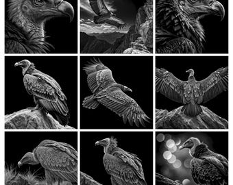 Vulture Laser Engraving Files, 9 PNG Designs for Slate, LightBurn, xTool, Glowforge, Commercial Use