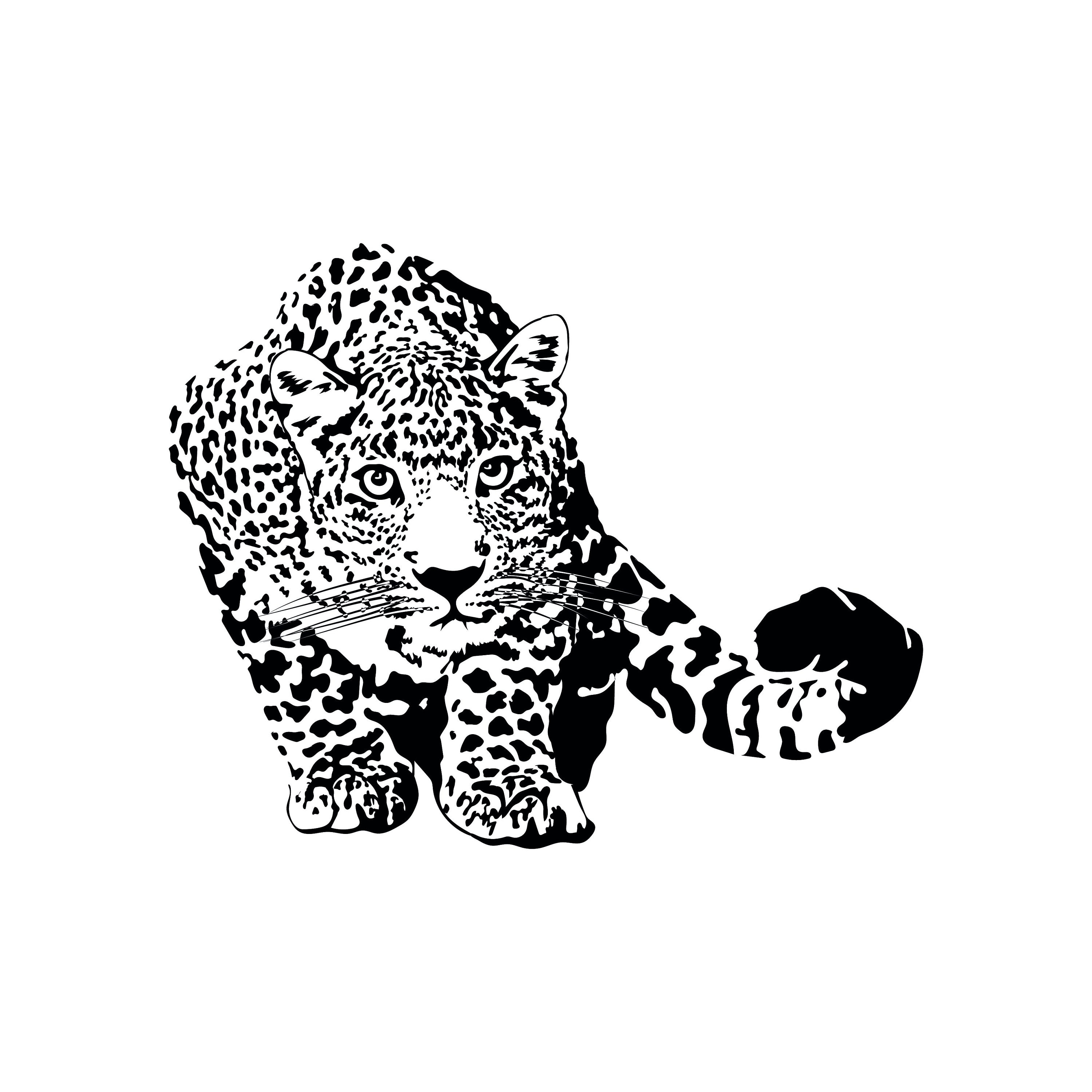 Leopard Svg Animal Svg Files For Cricut Wild Dxf Cut File Etsy