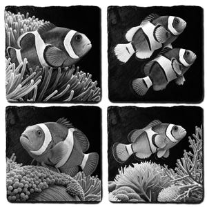 May include: Set of four black and white coasters featuring detailed illustrations of clownfish. Each coaster showcases a different image of the fish, with varying compositions of the fish and aquatic plants.
