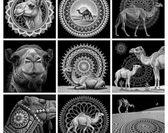 May include: A collection of nine black and white illustrations featuring camels in various poses, including close-ups, full-body profiles, and desert scenes, all framed by intricate circular mandala patterns and geometric designs on a dark background.