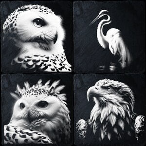 4 Slate Bundle Bird, Laser Ready PNG Files for Engraving, Slate Board Coaster Tray Art, CNC, CO2, Lightburn, Glowforge, Xtool
