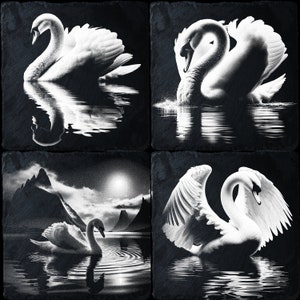 4 bundels Swan PNG voor CNC-lasergraveren, laserbranden, Glowforge-bestand, Lightburn-bestand, leisteengravure, digitaal ontwerp PNG, illusielaser