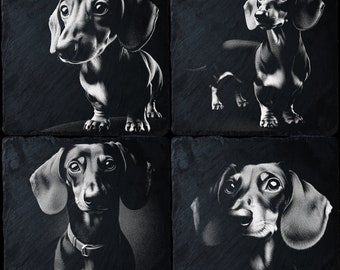 Op de afbeelding: Vier zwart-wit afbeeldingen van teckels op een leisteen achtergrond. Elke afbeelding toont een andere pose van de hond.