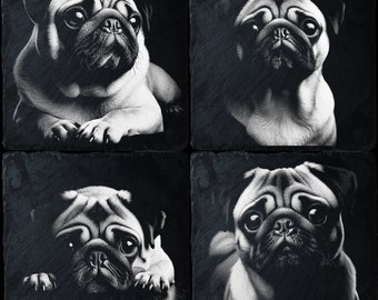 Könnte beinhalten: Vier Schwarzweißbilder eines Mops auf schwarzem Hintergrund. Jedes Bild zeigt den Hund aus einem anderen Blickwinkel.