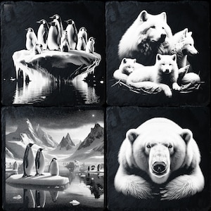 4 Slate Bundle Polar Animal, Laser Ready PNG Files for Engraving, Slate Board Coaster Tray Art, CNC, CO2, Lightburn, Glowforge, Xtool