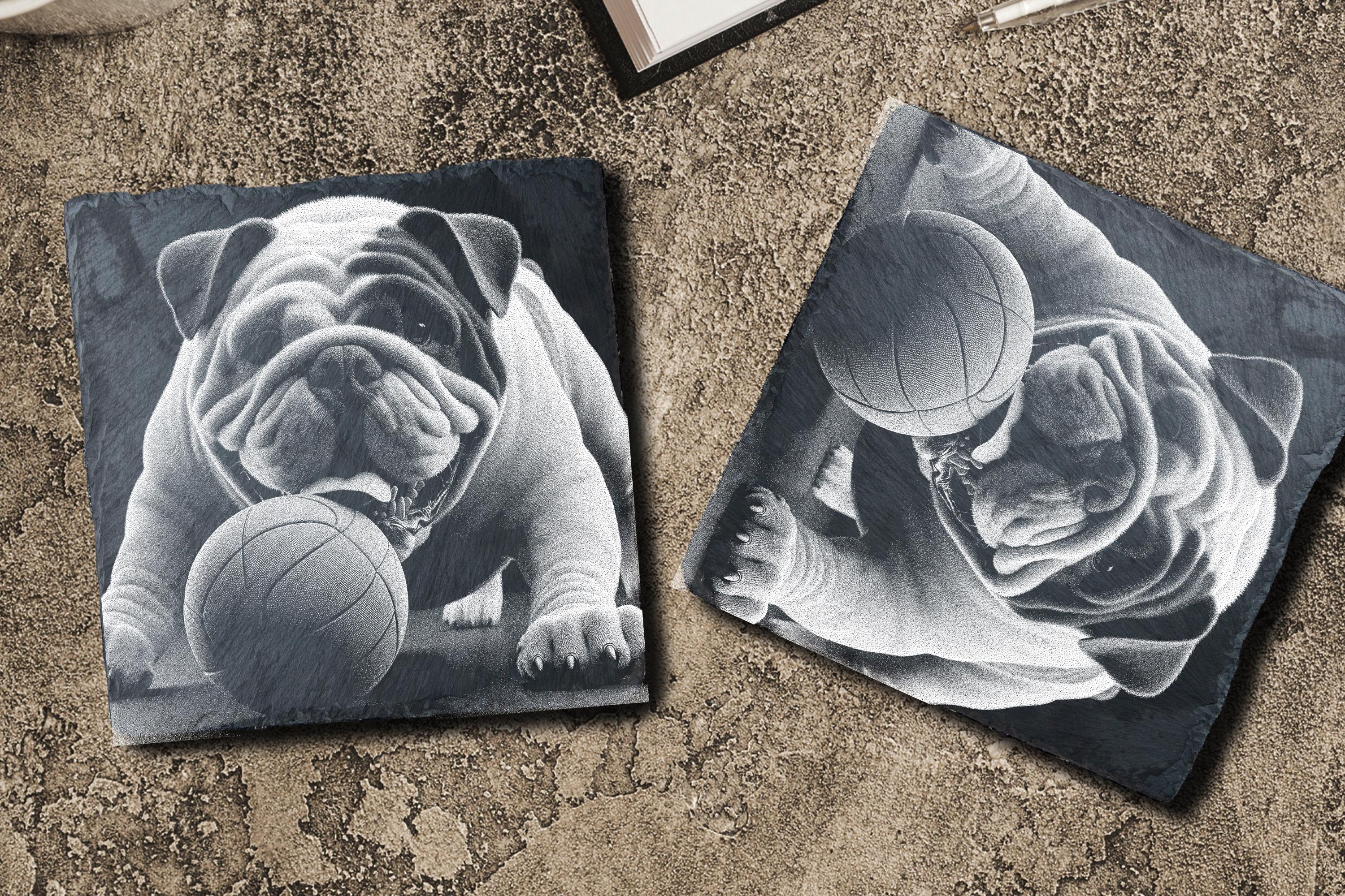 Bulldog Set of 4 PNG Files for Laser Engraving on Natural Slate - CNC ...