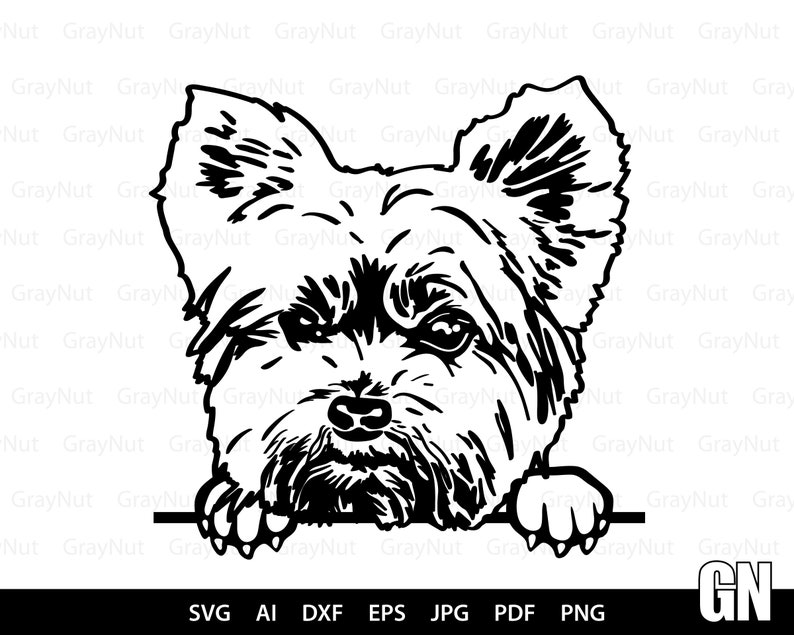 Download Yorkshire Terrier Svg Dog Svg Files For Cricut Animal Dxf | Etsy