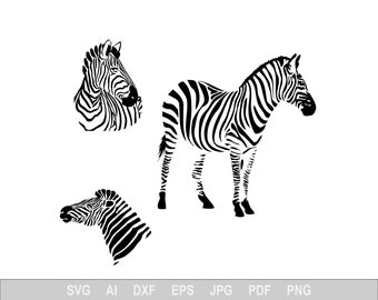 Zebra Svg, Animal Svg Files For Cricut, Nature Dxf Cut File, Zoo Vector, Eps, Png, Ipg, Africa, Safari, African Mammal Gray Nut