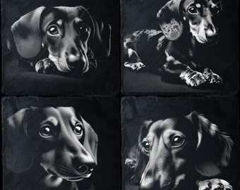 Op de afbeelding: Vier zwart-wit illustraties van teckels op een zwarte leisteen achtergrond. Elke illustratie toont een andere pose van de hond.