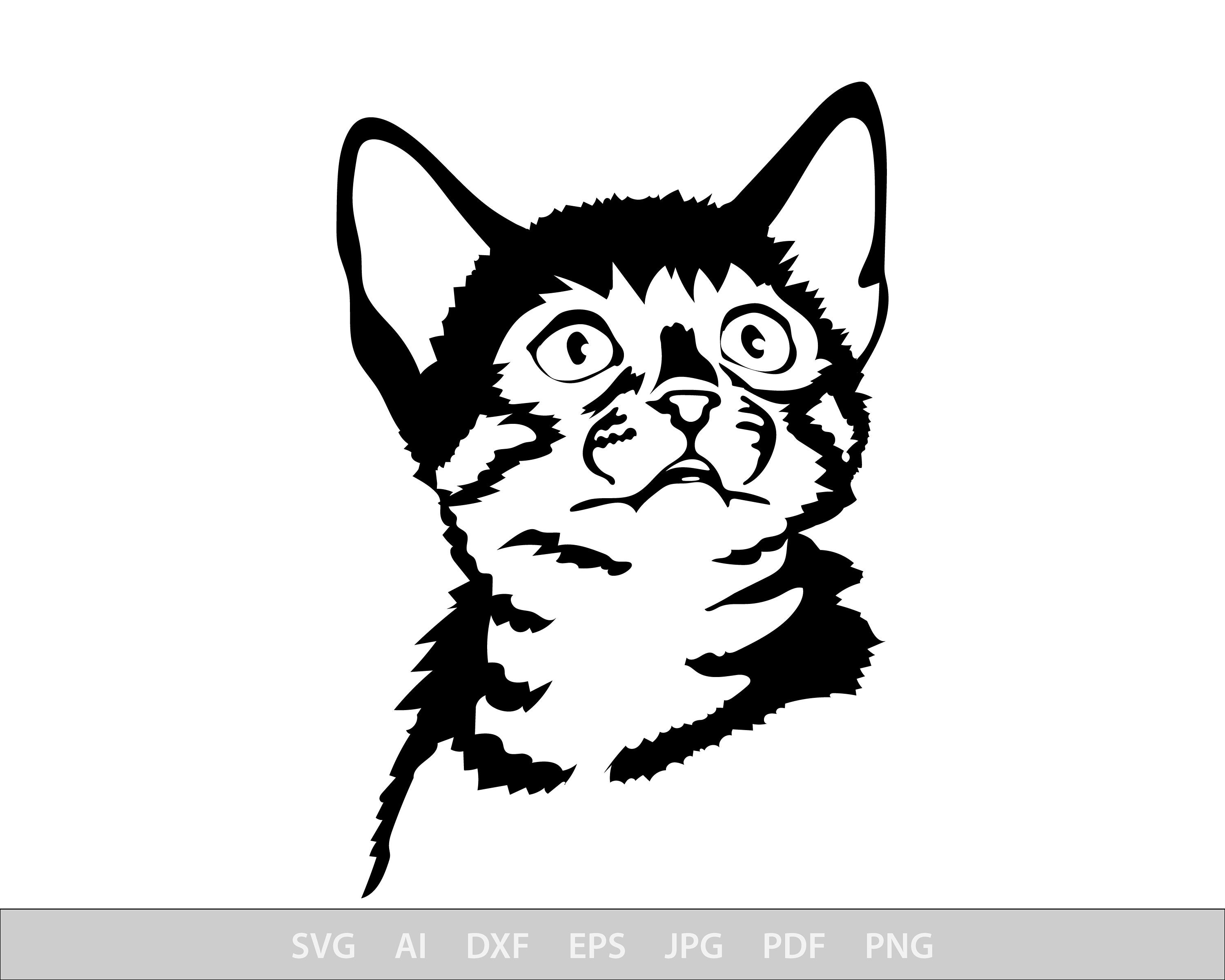 Kitten Svg Cat Svg Files For Cricut Funny Dxf Cut File | Etsy
