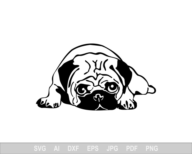 Download Pug Svg Puppy Vector Png Ipg Pet Eps Cute Portrait Emotion Comic Gray Nut Dog Svg Files For Cricut Animal Dxf Cut File Funny Urns Memorials Pet Supplies