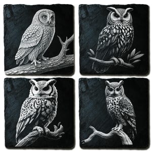 Ensemble de 4 fichiers PNG 3D réalistes hibou pour gravure laser